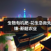 生物有机肥-花生急救先锋-新超农业（图2）