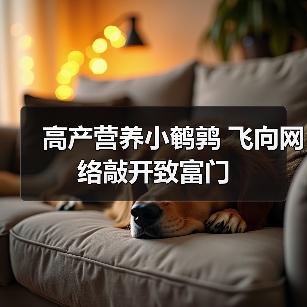 高产营养小鹌鹑 飞向网络敲开致富门(图3) 高产营养小鹌鹑 飞向网络敲开致富门(图3)