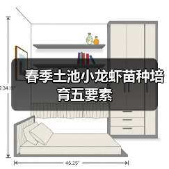 春季土池小龙虾苗种培育五要素(图3) 春季土池小龙虾苗种培育五要素(图3)
