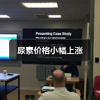 尿素价格小幅上涨（图3）