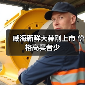 威海新鲜大蒜刚上市 价格高买者少(图1) 威海新鲜大蒜刚上市 价格高买者少(图1)