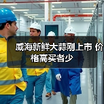 威海新鲜大蒜刚上市 价格高买者少(图3) 威海新鲜大蒜刚上市 价格高买者少(图3)