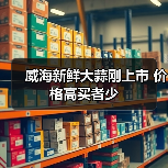 威海新鲜大蒜刚上市 价格高买者少(图4) 威海新鲜大蒜刚上市 价格高买者少(图4)