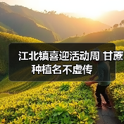 江北镇喜迎活动周 甘蔗种植名不虚传(图1) 江北镇喜迎活动周 甘蔗种植名不虚传(图1)