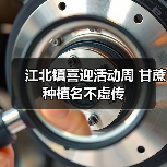 江北镇喜迎活动周 甘蔗种植名不虚传(图3) 江北镇喜迎活动周 甘蔗种植名不虚传(图3)