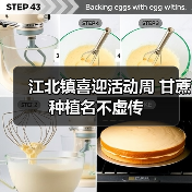 江北镇喜迎活动周 甘蔗种植名不虚传(图4) 江北镇喜迎活动周 甘蔗种植名不虚传(图4)