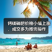 钙镁磷肥价格小幅上涨，成交多为按需操作（图1）