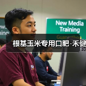 根基玉米专用口肥-禾健(图3) 根基玉米专用口肥-禾健(图3)