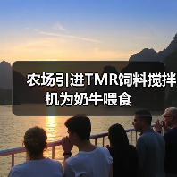 农场引进TMR饲料搅拌机为奶牛喂食(图3) 农场引进TMR饲料搅拌机为奶牛喂食(图3)