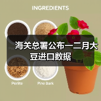 海关总署公布一二月大豆进口数据(图4) 海关总署公布一二月大豆进口数据(图4)