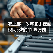 农业部:今年冬小麦面积同比增加109万亩(图3) 农业部:今年冬小麦面积同比增加109万亩(图3)