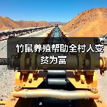 竹鼠养殖帮助全村人变贫为富(图2) 竹鼠养殖帮助全村人变贫为富(图2)
