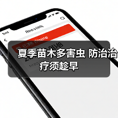 夏季苗木多害虫 防治治疗须趁早(图4) 夏季苗木多害虫 防治治疗须趁早(图4)
