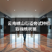 云南峨山街道旁试种植猕猴桃树苗(图4) 云南峨山街道旁试种植猕猴桃树苗(图4)