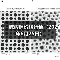 硫酸钾价格行情（2024年6月25日）（图3）