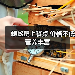 蜈蚣爬上餐桌 价格不低营养丰富(图4) 蜈蚣爬上餐桌 价格不低营养丰富(图4)