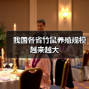我国各省竹鼠养殖规模越来越大(图2) 我国各省竹鼠养殖规模越来越大(图2)