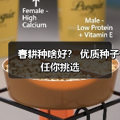 春耕种啥好? 优质种子任你挑选(图2) 春耕种啥好? 优质种子任你挑选(图2)