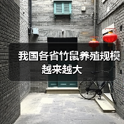 我国各省竹鼠养殖规模越来越大(图3) 我国各省竹鼠养殖规模越来越大(图3)