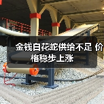 金钱白花蛇供给不足 价格稳步上涨(图4) 金钱白花蛇供给不足 价格稳步上涨(图4)