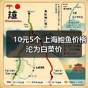 10元5个 上海鲍鱼价格沦为白菜价(图3) 10元5个 上海鲍鱼价格沦为白菜价(图3)