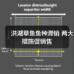 洪湖草鱼鱼种滞销 两大措施促销售(图3) 洪湖草鱼鱼种滞销 两大措施促销售(图3)