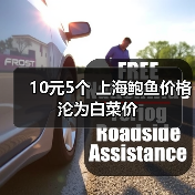 10元5个 上海鲍鱼价格沦为白菜价(图4) 10元5个 上海鲍鱼价格沦为白菜价(图4)
