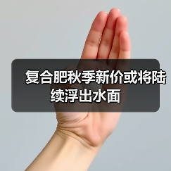 复合肥秋季新价或将陆续浮出水面（图4）