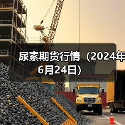 尿素期货行情（2024年6月24日）（图4）