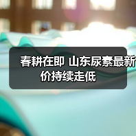 春耕在即 山东尿素最新价持续走低(图2) 春耕在即 山东尿素最新价持续走低(图2)