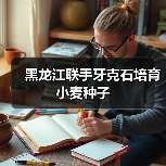黑龙江联手牙克石培育小麦种子(图2) 黑龙江联手牙克石培育小麦种子(图2)