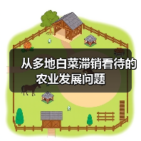 从多地白菜滞销看待的农业发展问题(图1) 从多地白菜滞销看待的农业发展问题(图1)