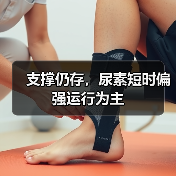支撑仍存,尿素短时偏强运行为主(图1) 支撑仍存,尿素短时偏强运行为主(图1)