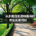 从多地白菜滞销看待的农业发展问题(图2) 从多地白菜滞销看待的农业发展问题(图2)