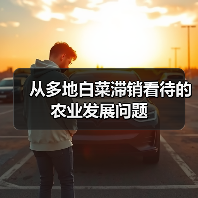 从多地白菜滞销看待的农业发展问题(图3) 从多地白菜滞销看待的农业发展问题(图3)