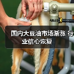 国内大豆油市场渐涨 行业信心恢复(图4) 国内大豆油市场渐涨 行业信心恢复(图4)