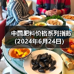 中国肥料价格系列指数(2024年6月24日)(图4) 中国肥料价格系列指数(2024年6月24日)(图4)
