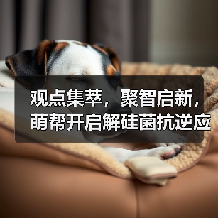观点集萃,聚智启新,萌帮开启解硅菌抗逆应用新篇章!(图4) 观点集萃,聚智启新,萌帮开启解硅菌抗逆应用新篇章!(图4)