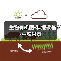 生物有机肥-科报碳基菌-中农兴泰（图3）