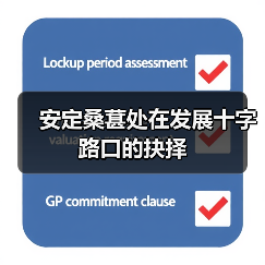 安定桑葚处在发展十字路口的抉择（图1）