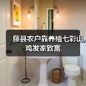 藤县农户靠养殖七彩山鸡发家致富(图3) 藤县农户靠养殖七彩山鸡发家致富(图3)