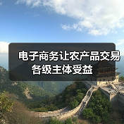 电子商务让农产品交易各级主体受益(图4) 电子商务让农产品交易各级主体受益(图4)