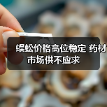 蜈蚣价格高位稳定 药材市场供不应求(图2) 蜈蚣价格高位稳定 药材市场供不应求(图2)