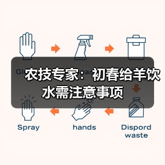 农技专家:初春给羊饮水需注意事项(图1) 农技专家:初春给羊饮水需注意事项(图1)