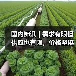 国内钾讯 | 需求有限但供应也有限,价格坚挺(图3) 国内钾讯 | 需求有限但供应也有限,价格坚挺(图3)