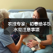农技专家:初春给羊饮水需注意事项(图3) 农技专家:初春给羊饮水需注意事项(图3)