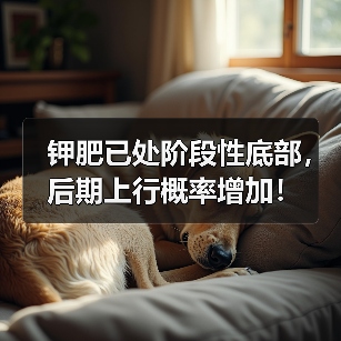 钾肥已处阶段性底部，后期上行概率增加！（图2）