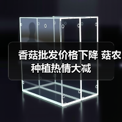 香菇批发价格下降 菇农种植热情大减（图1）