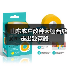 山东农户改种大棚西瓜走出致富路(图2) 山东农户改种大棚西瓜走出致富路(图2)