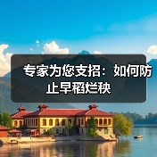专家为您支招:如何防止早稻烂秧(图1) 专家为您支招:如何防止早稻烂秧(图1)